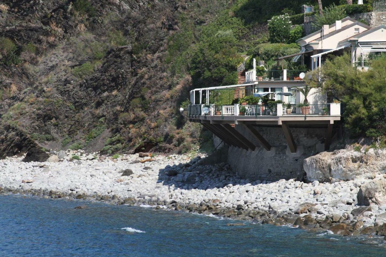 Asseu * Sestri Levante